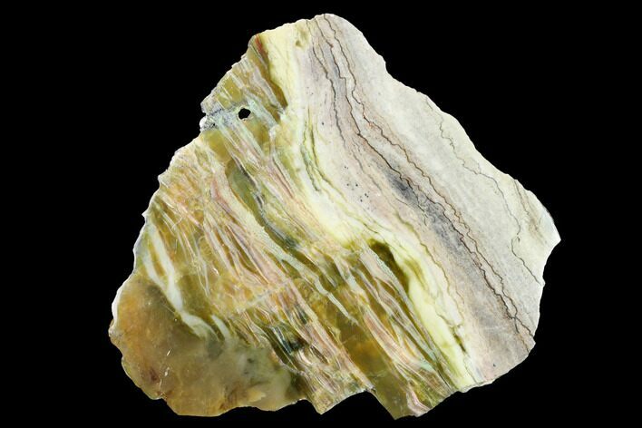 Chatoyant, Polished Pietersite Section - Arizona #146438